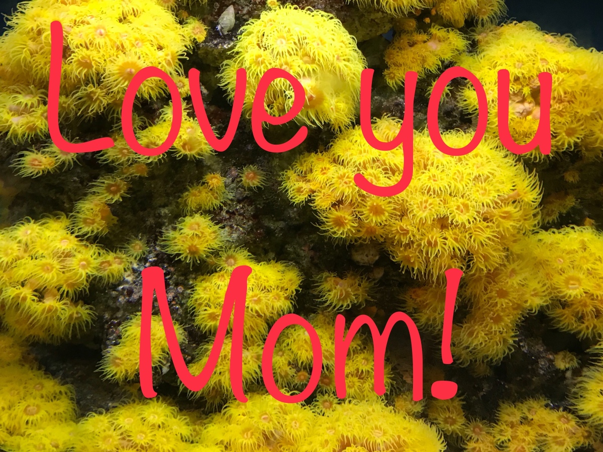 Those who are having it tough this Mother’s Day, we see you!